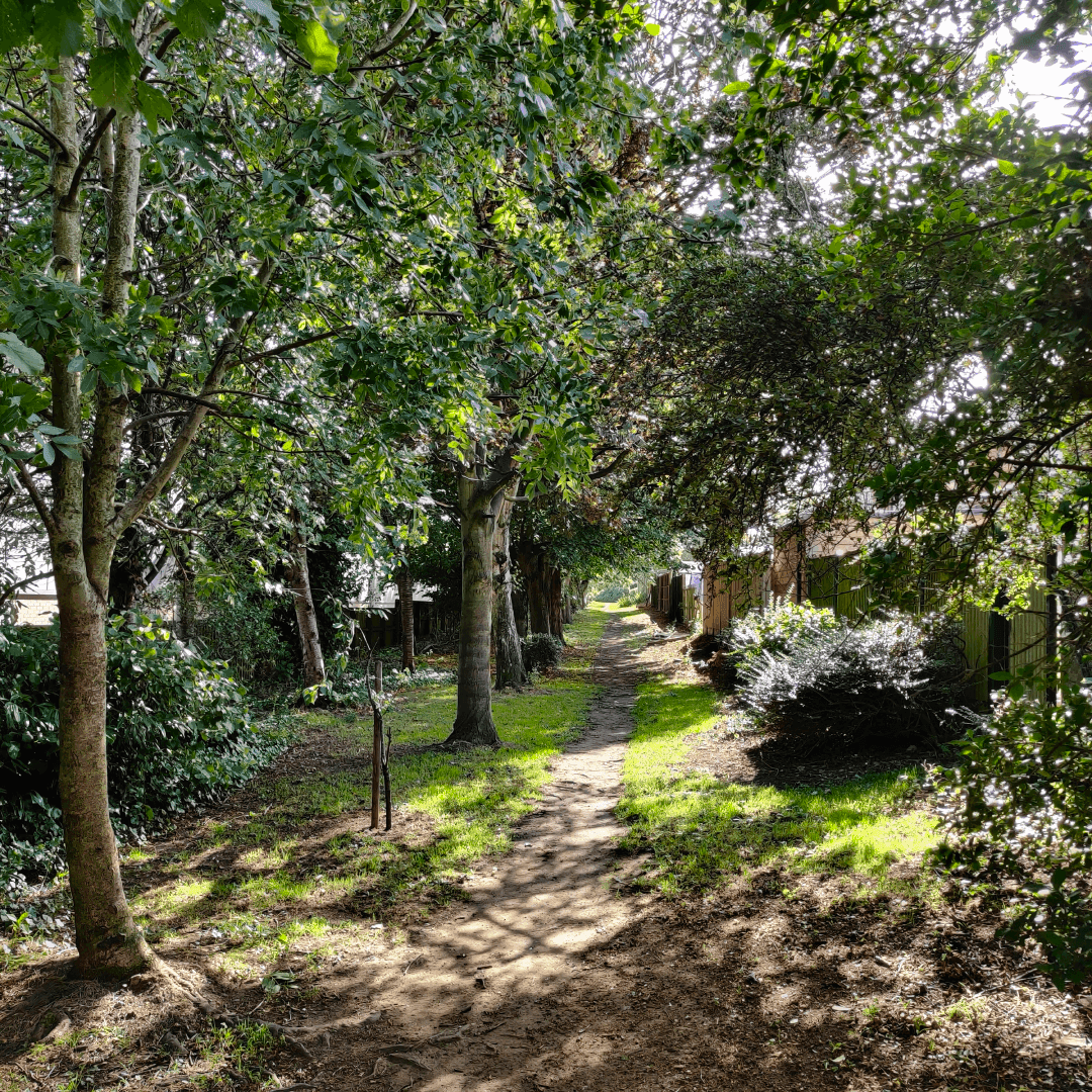 Scratcherd Park