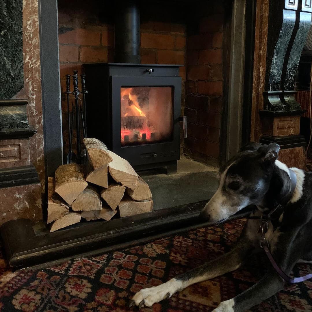 Cardigan Arms Dog Friendly