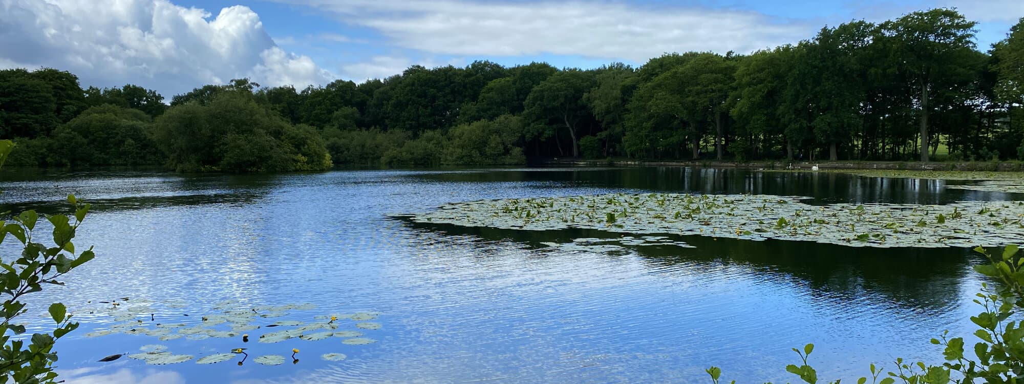 Breary Marsh Pauls Pond on a sunny day