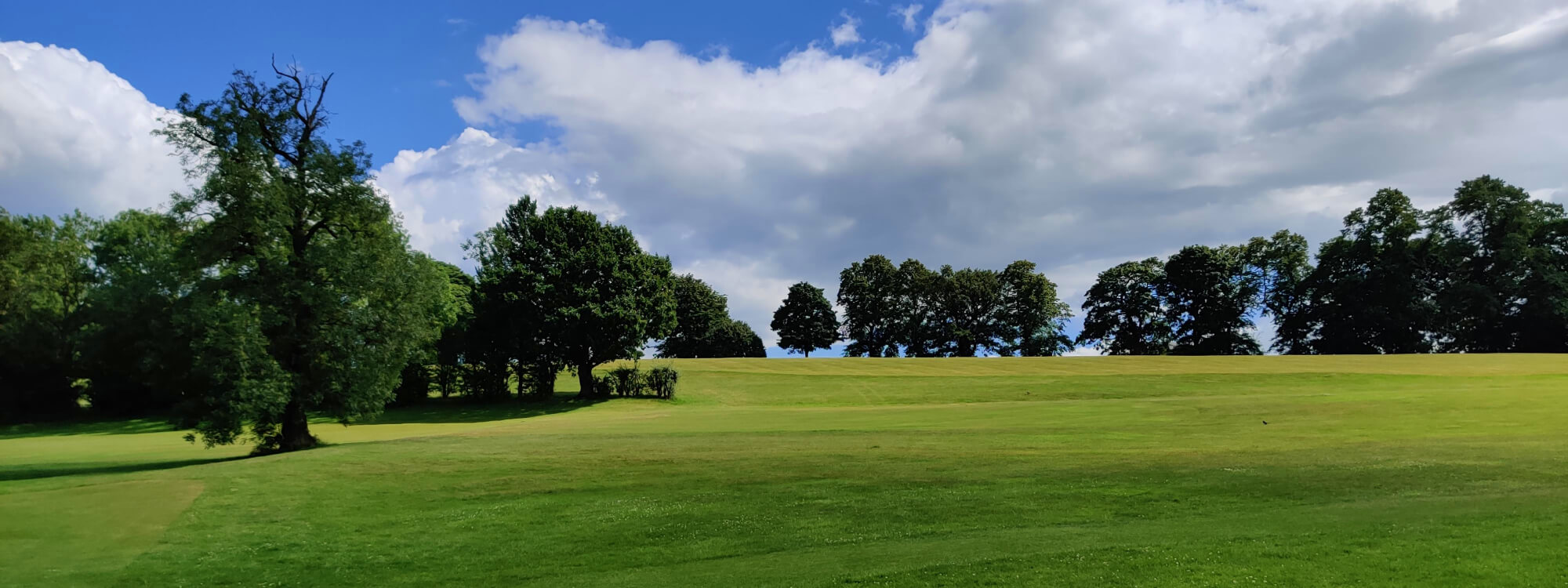 Gotts Park rolling grassy field