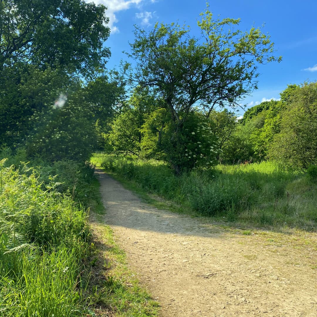 Breary Marsh walk
