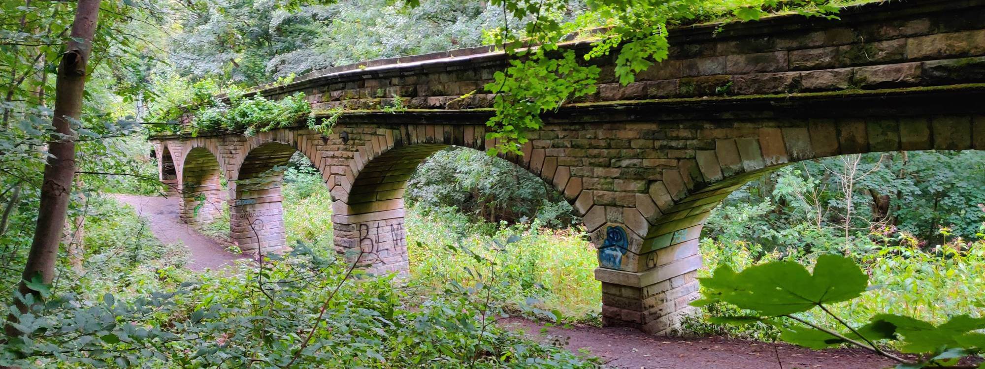 Seven Arches in Scotland Wood