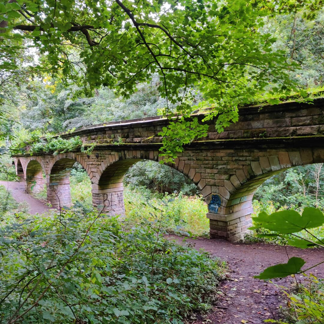 Seven Arches Scotland Wood