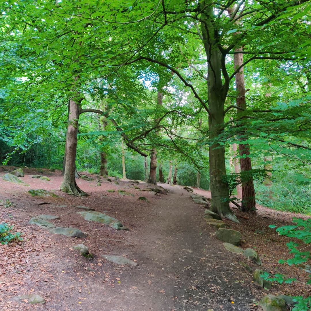 Mud path through Scotland Wood