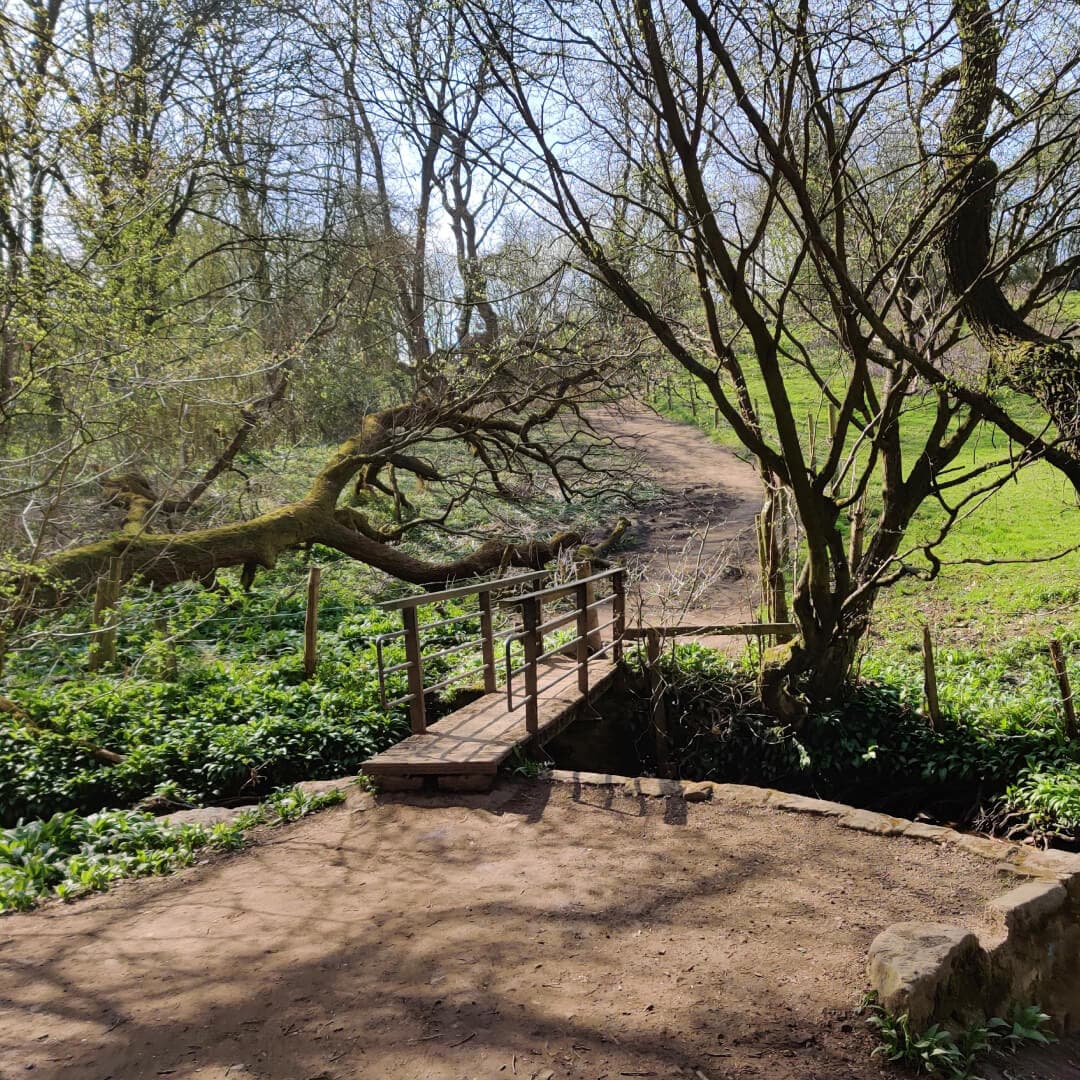Bridge over Pudsey Beck in Sykes Wood