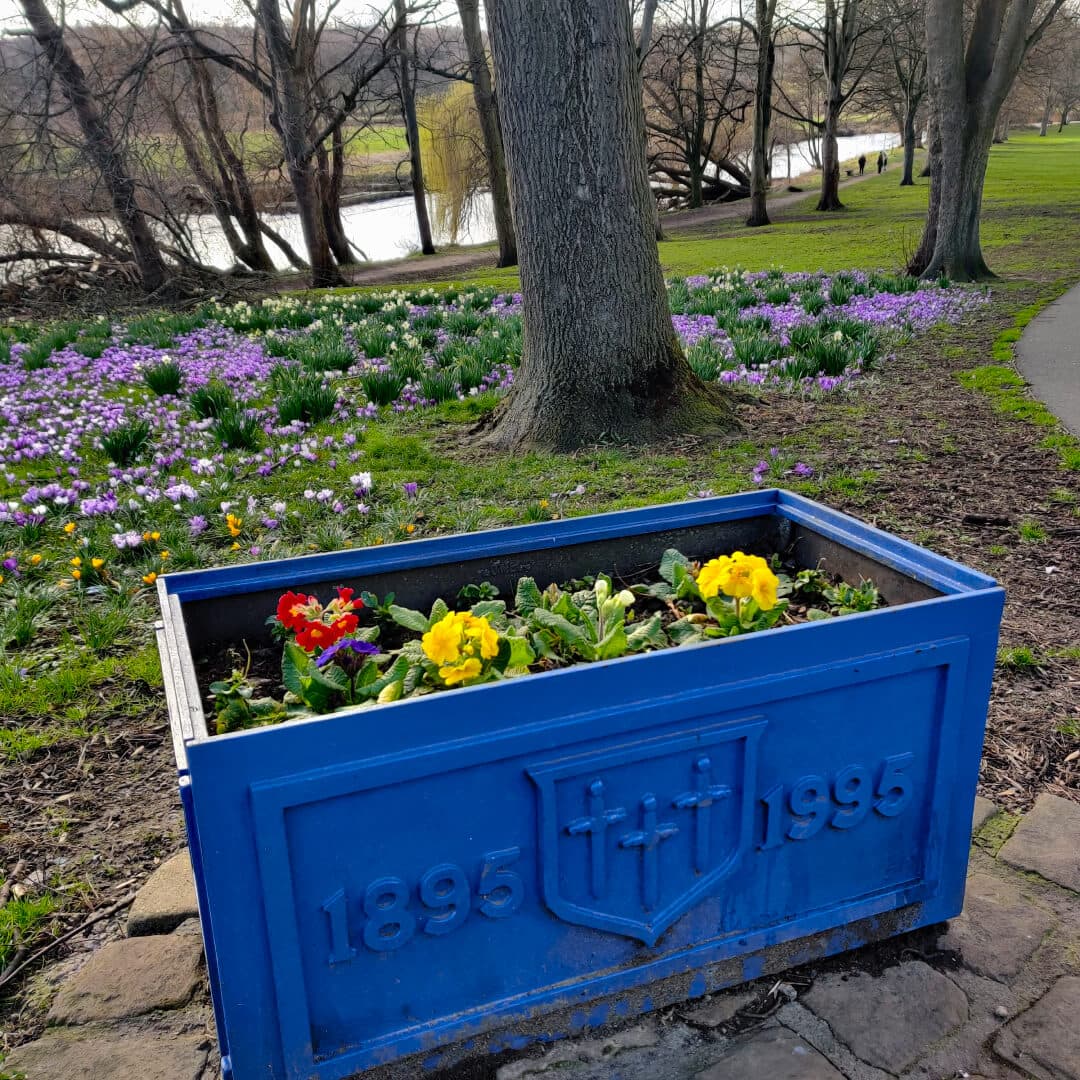 Kirkstall Abbey In Bloom flower box