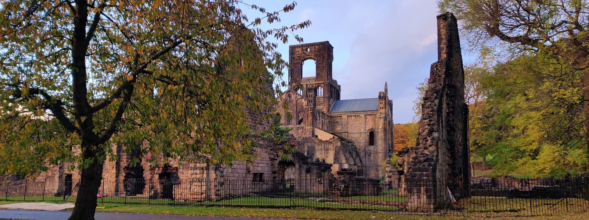Kirkstall Abbey in Autumn slightly behind a tree.