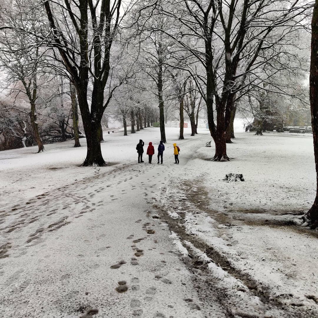 Walking through Kirkstall Abbey in Winter