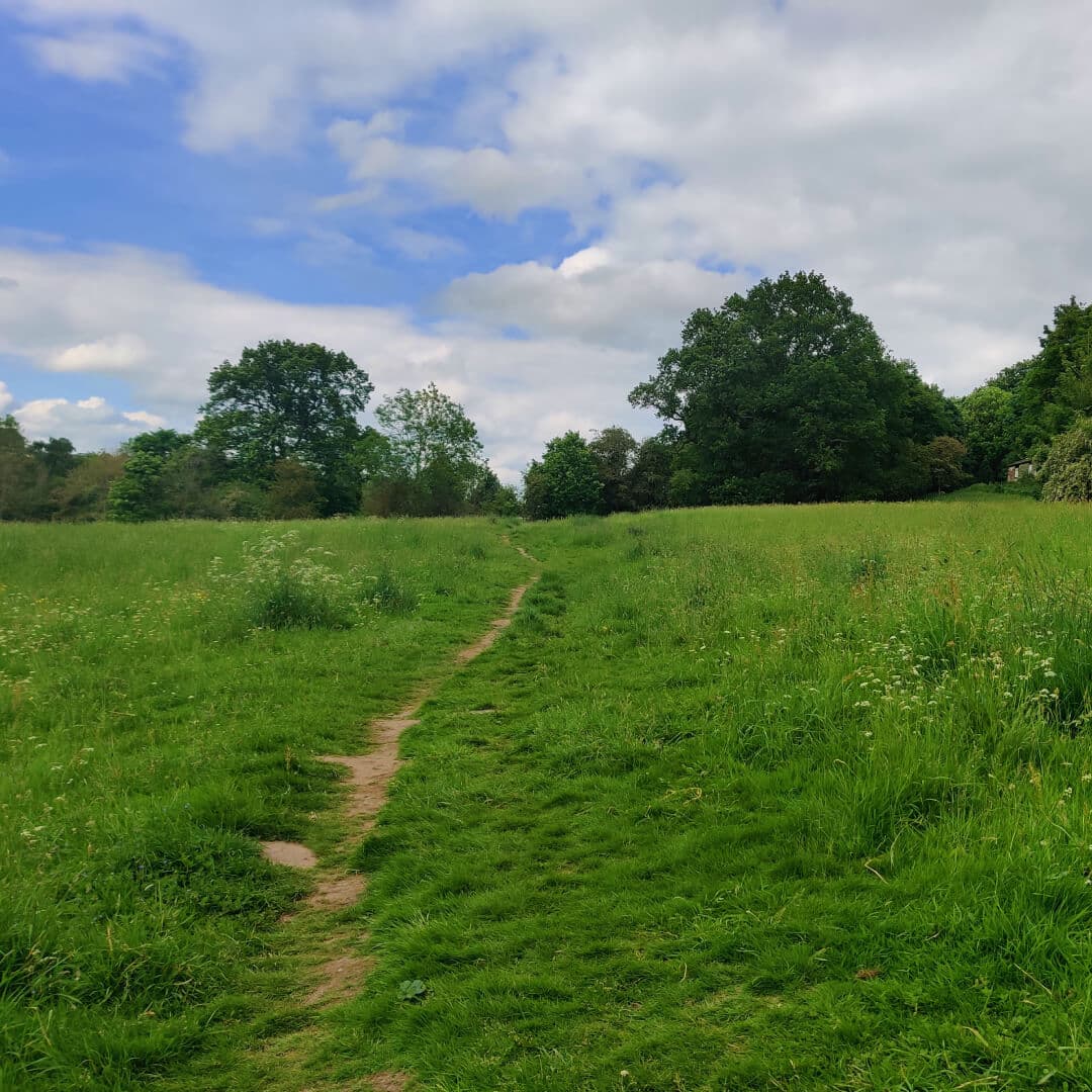Meanwood Park Back Field