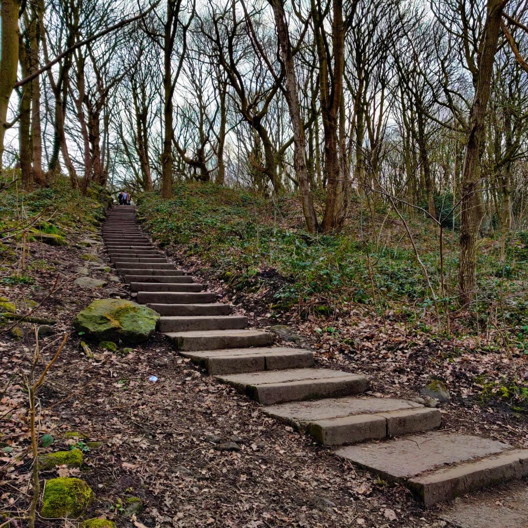 Steps up to Bramley Fall Woods