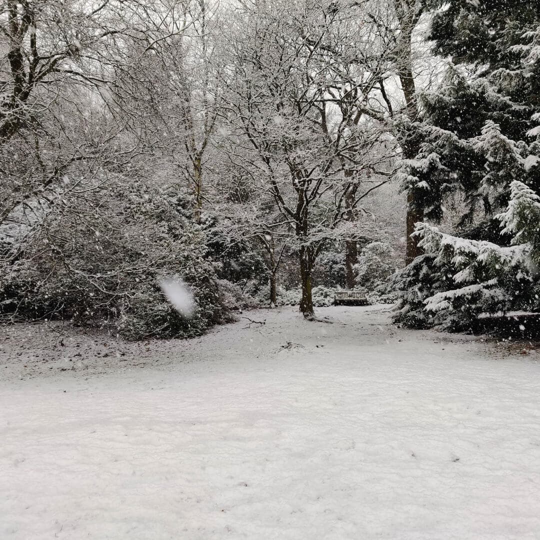 Golden Acre Park bench in the snow