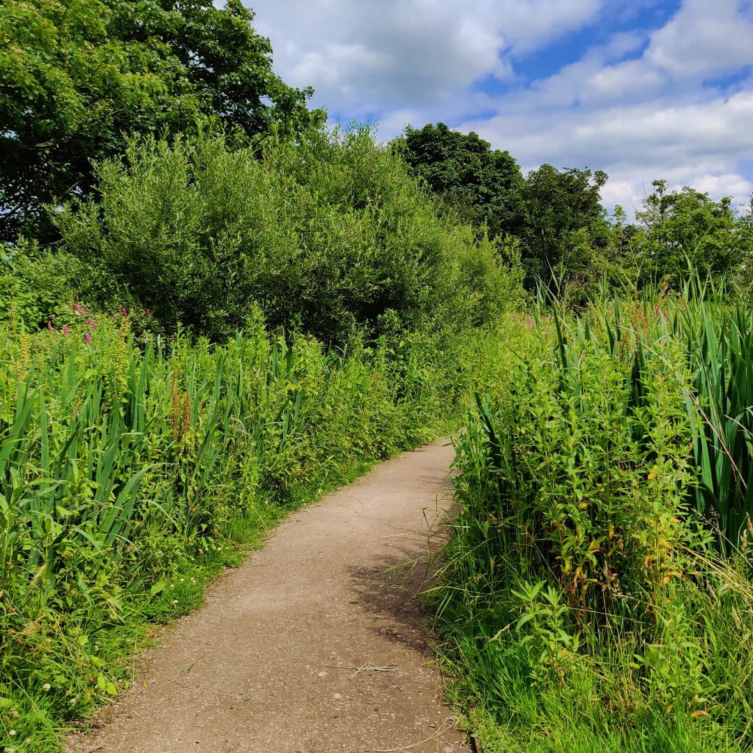 Yeadon Tarn path around lake