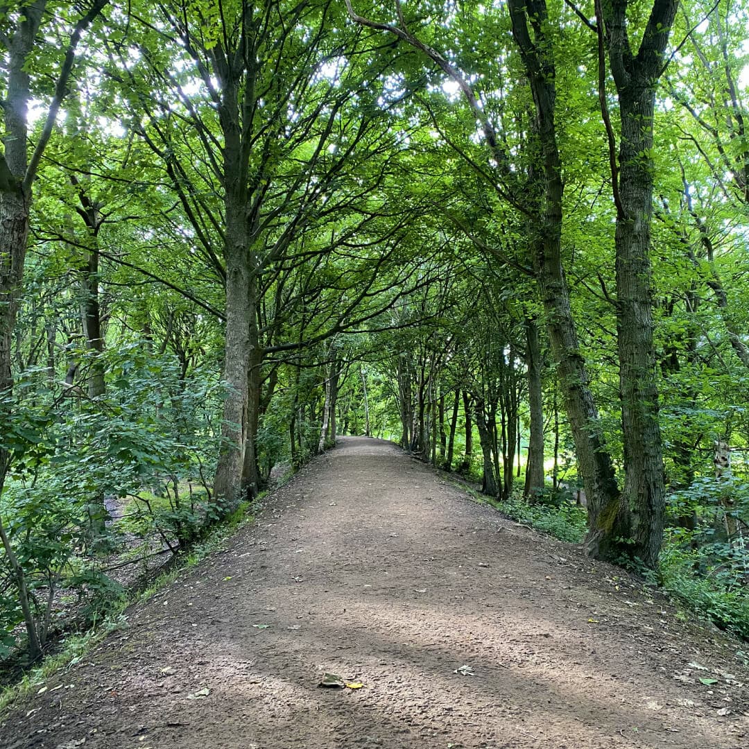 Bramley Fall Woods main footpath through the woods