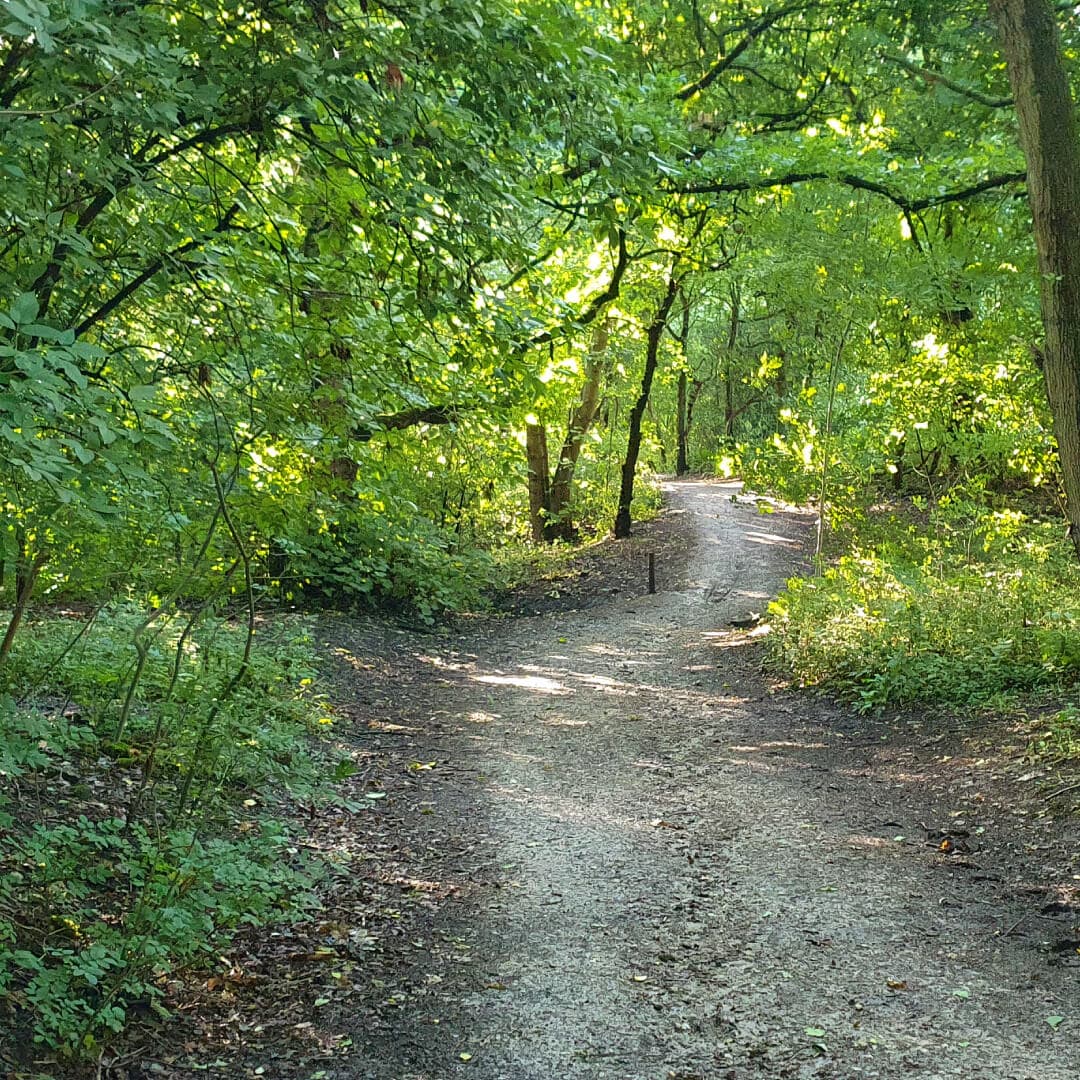 Nan Whins Wood path