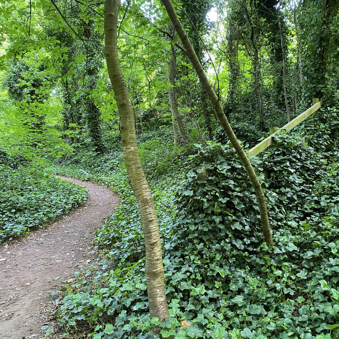 Kirkstall Abbey Path