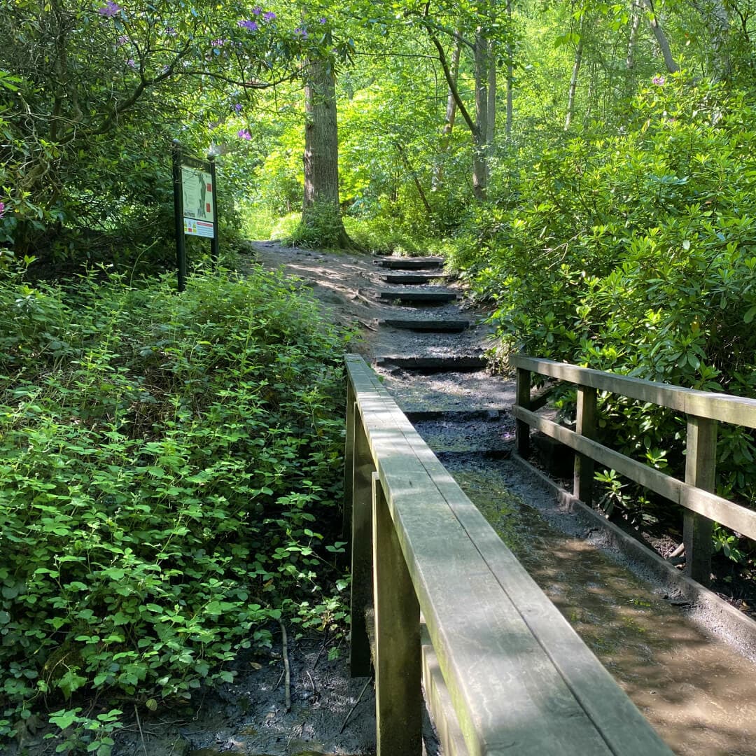 Meanwood Park path over stream