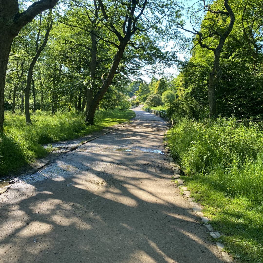 The main path around Golden Acre Park. Surrounded by grass and trees.
