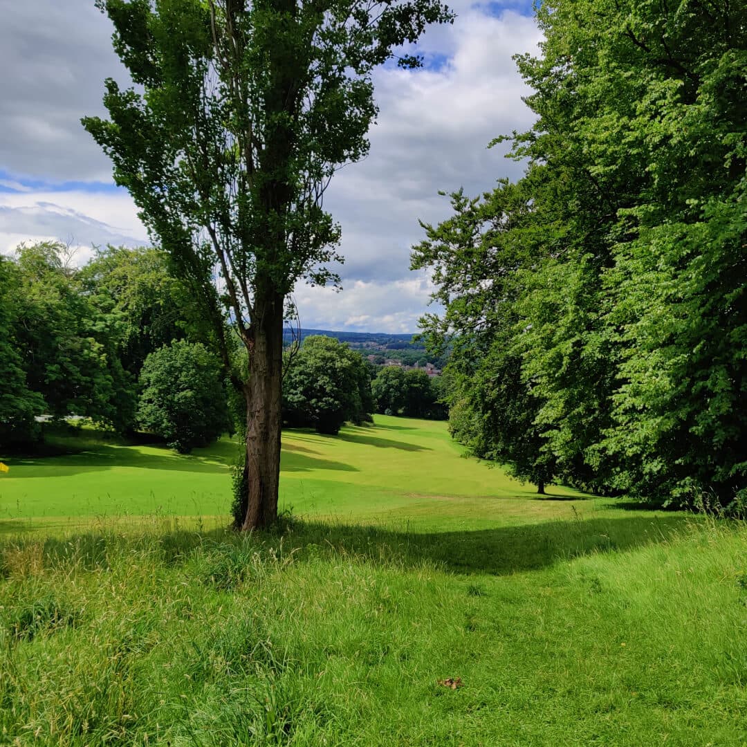 Gotts Park Field
