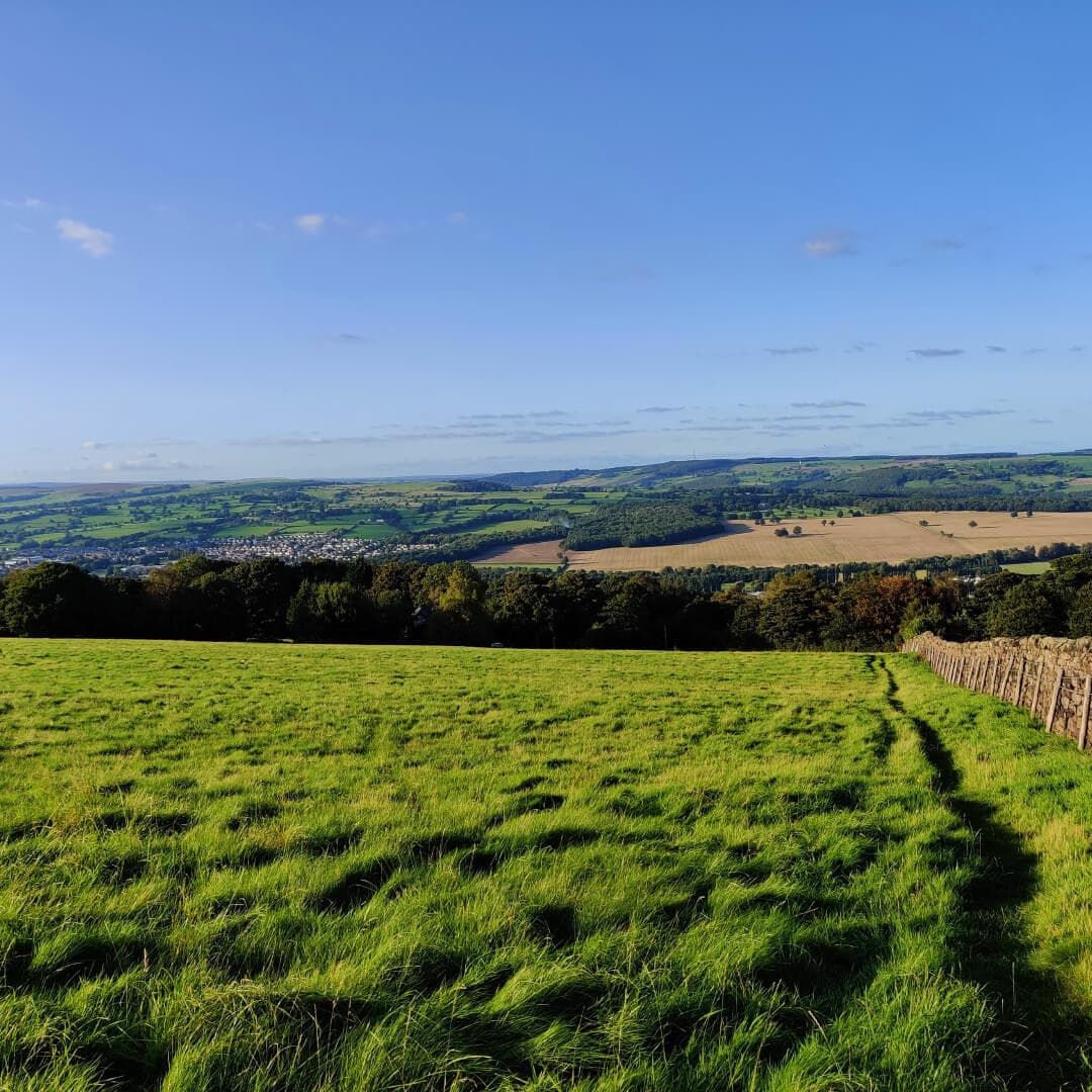 View over Otley Chevin Forest Park from a grassy field