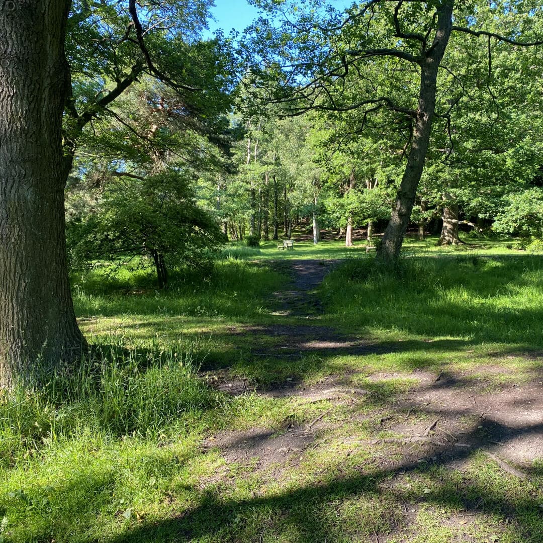 Off the beaten track, a worn path through grass at Golden Acre Park