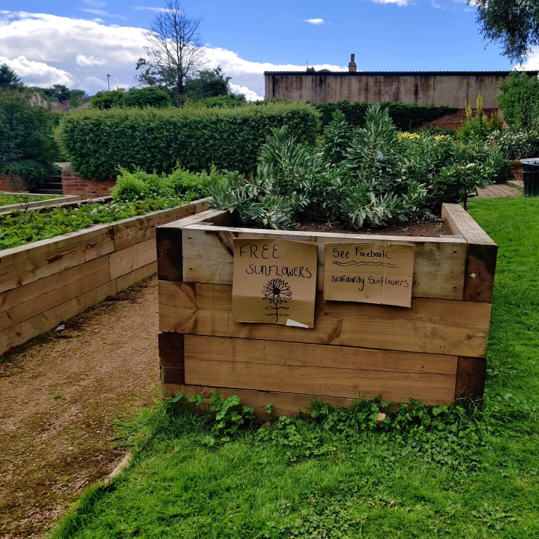 Gotts Park Veg patch with sign for free sunflowers