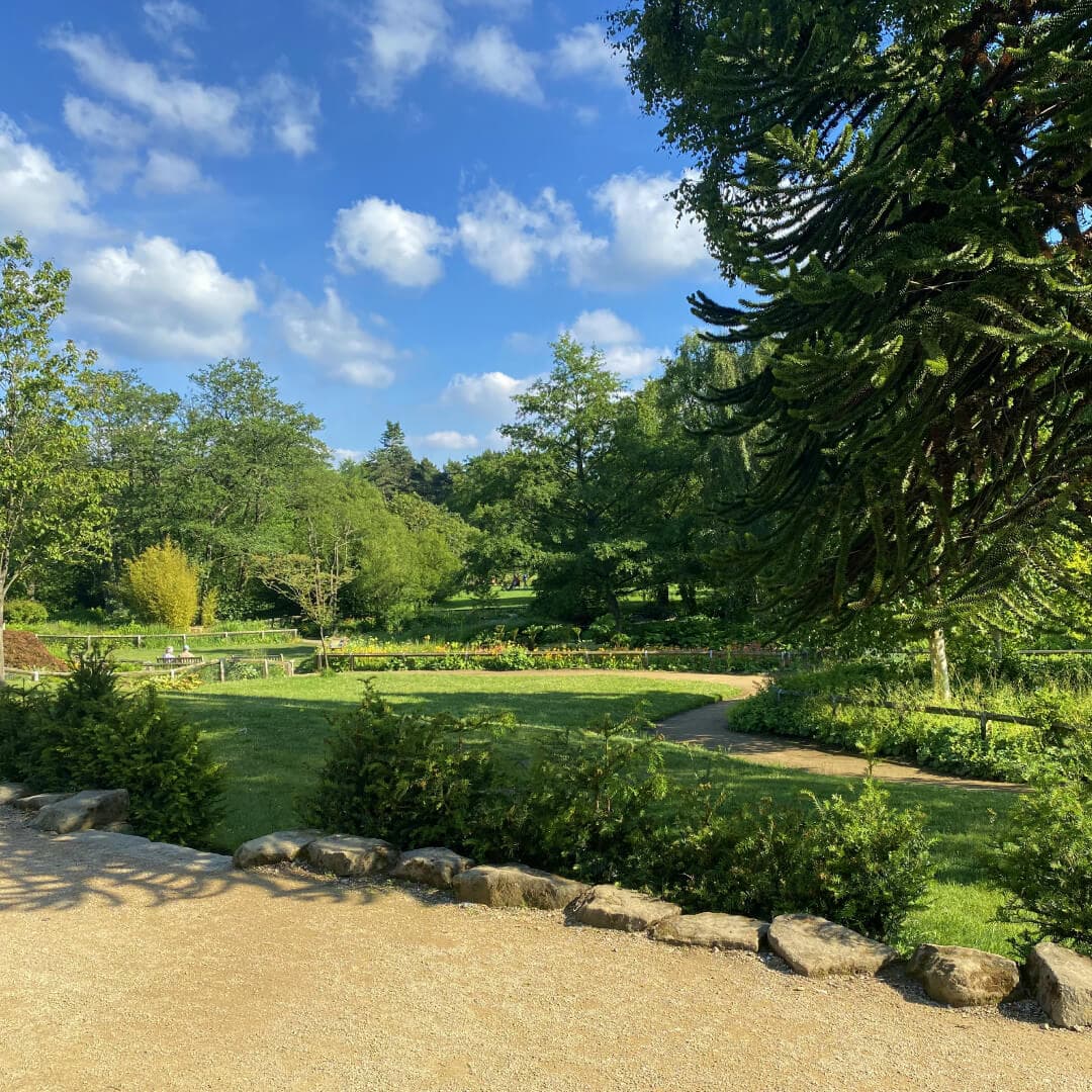 Golden Acre Park Path