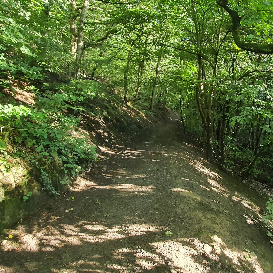Nan Whins Wood Path
