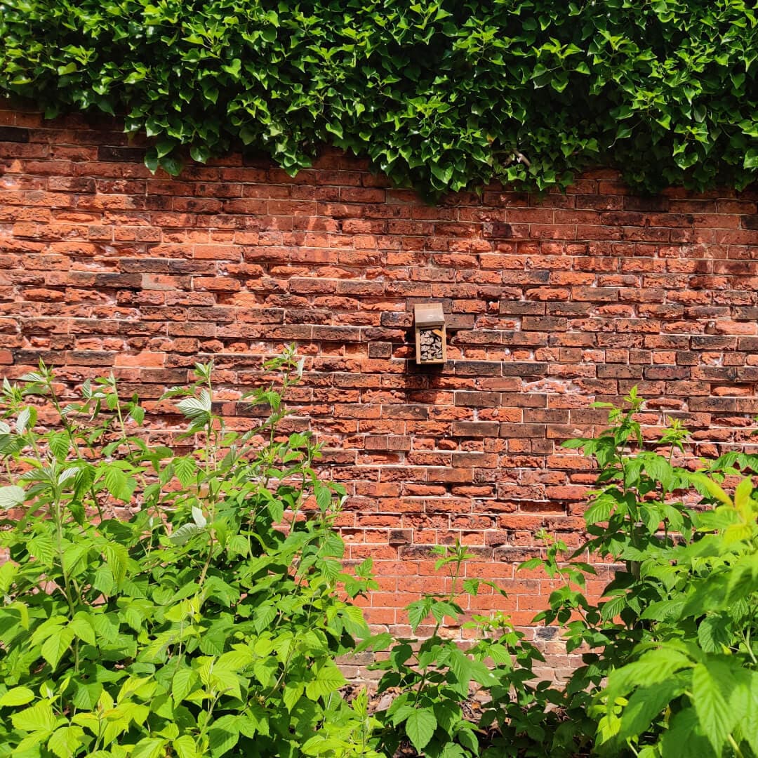 Gotts Park Bee Hotel on red brick wall in Rose Garden