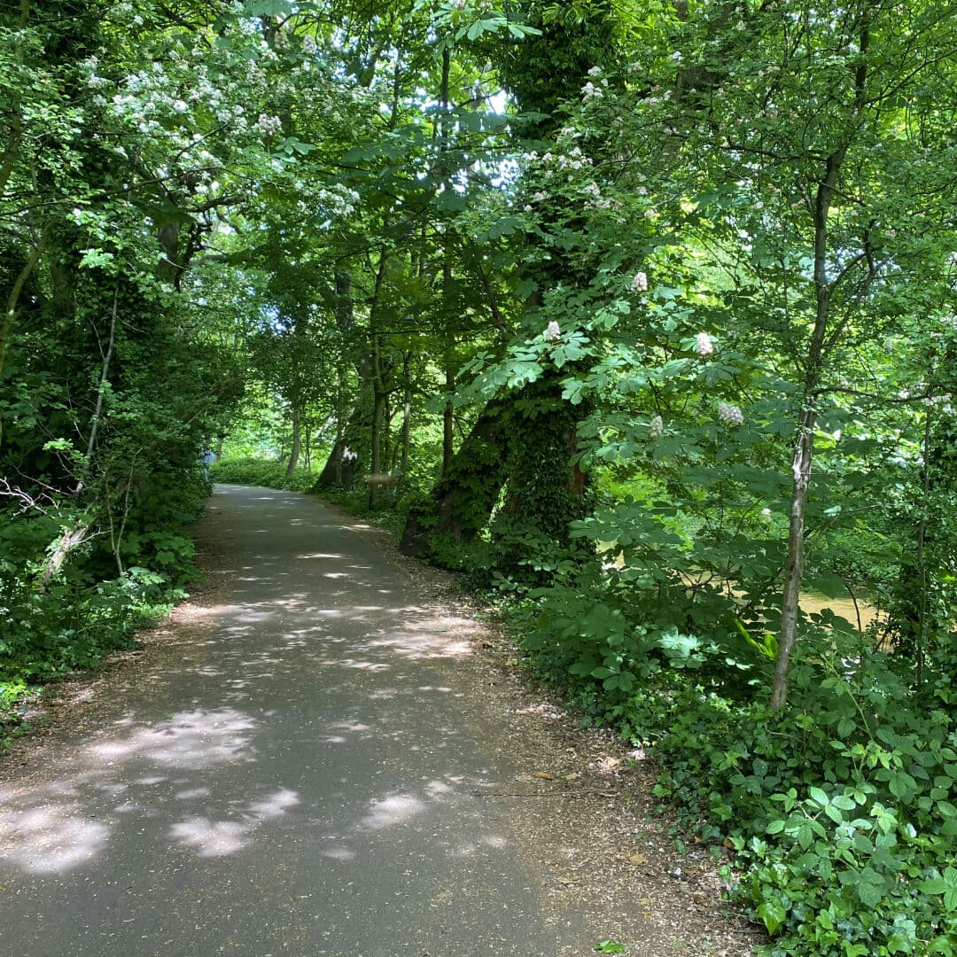 Kirkstall Abbey Footpath