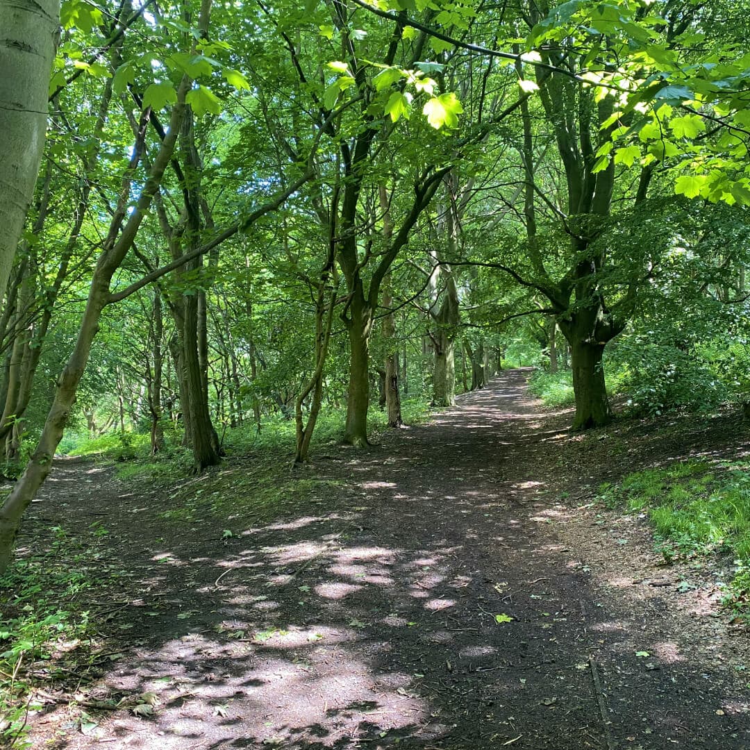 Meanwood Park path