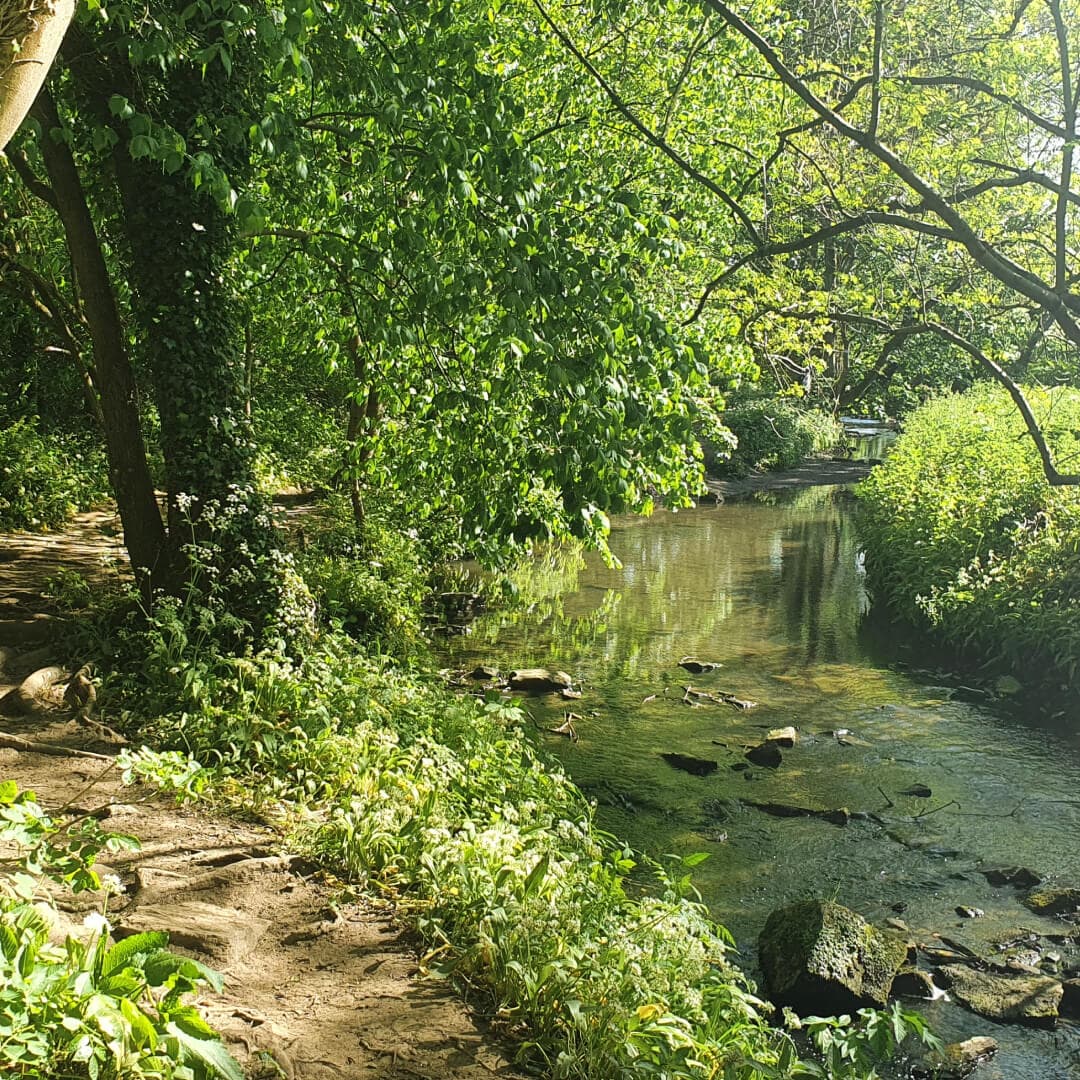Post Hill Nature Reserve path by stream