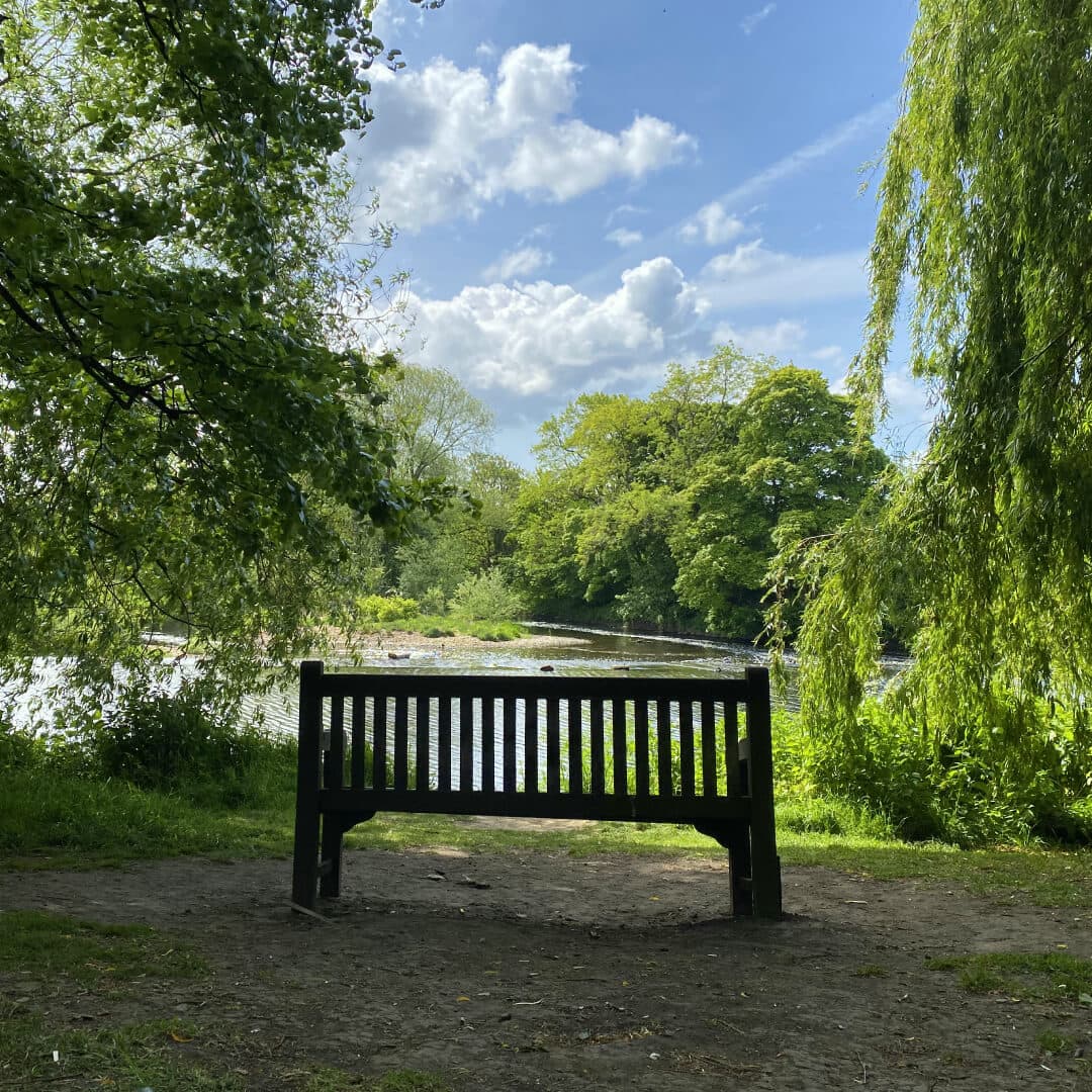 Kirkstall Abbey bench over River Aire