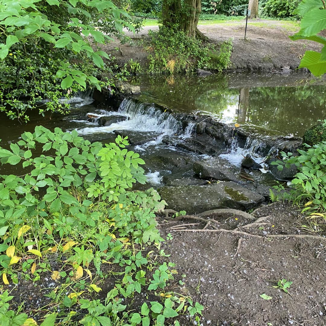 Meanwood Park Meanwood Beck