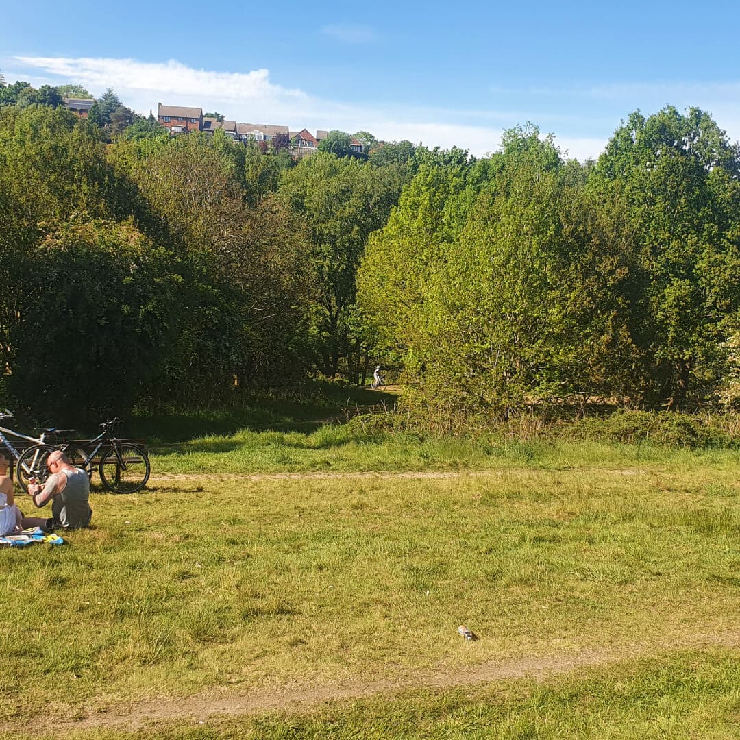 Post Hill Nature Reserve field