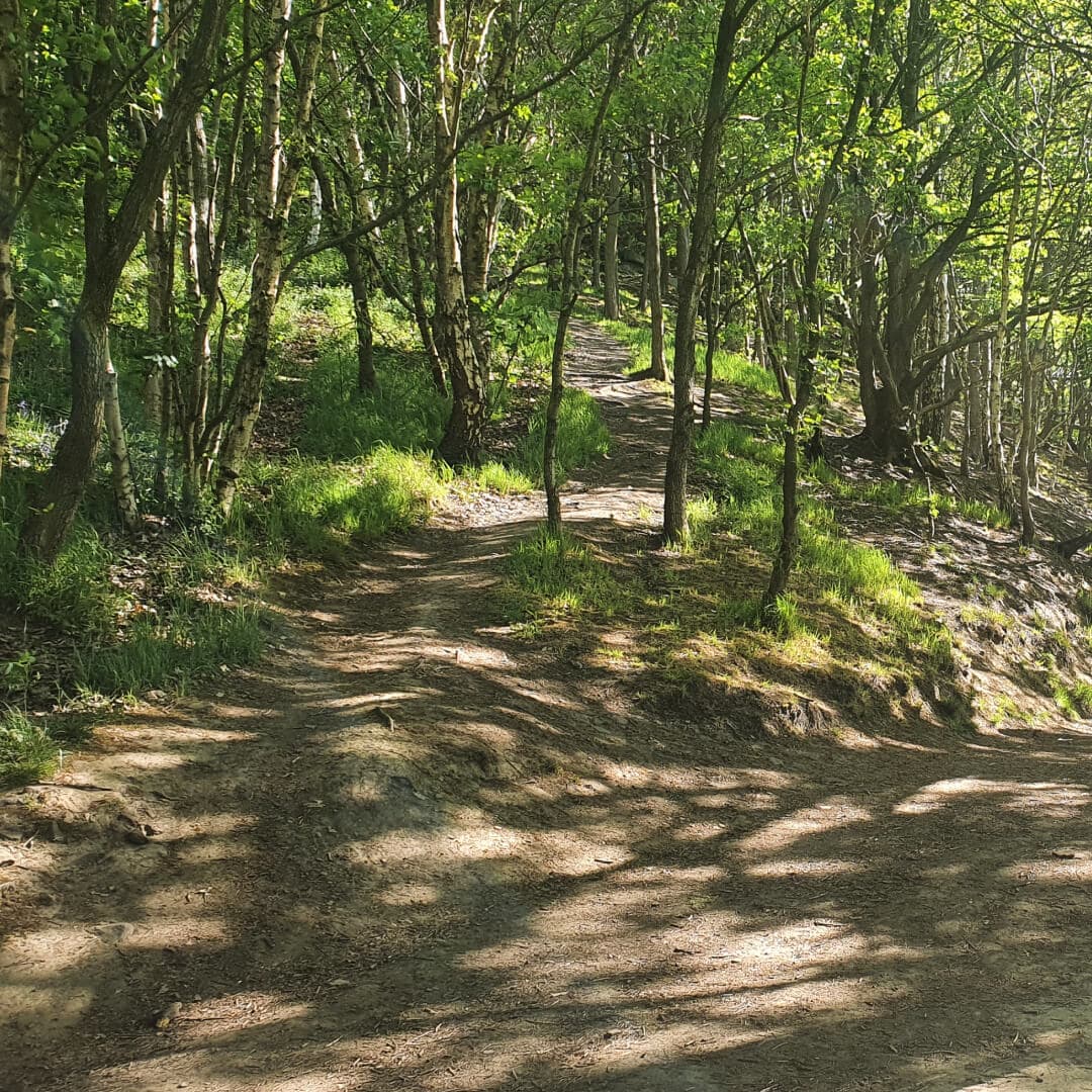 Post Hill Nature Reserve path by stream