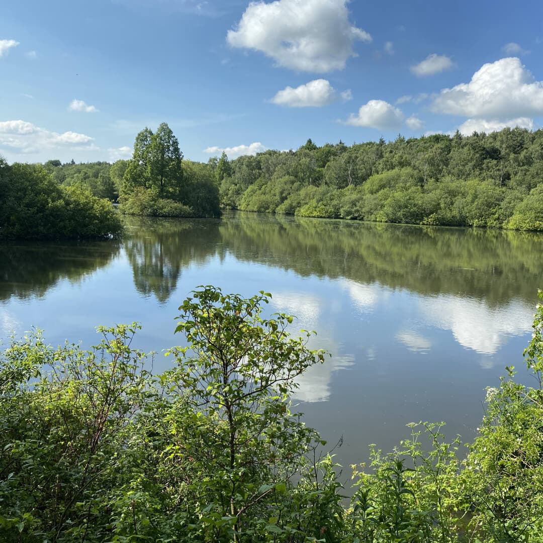 The large lake at Golden Acre Park
