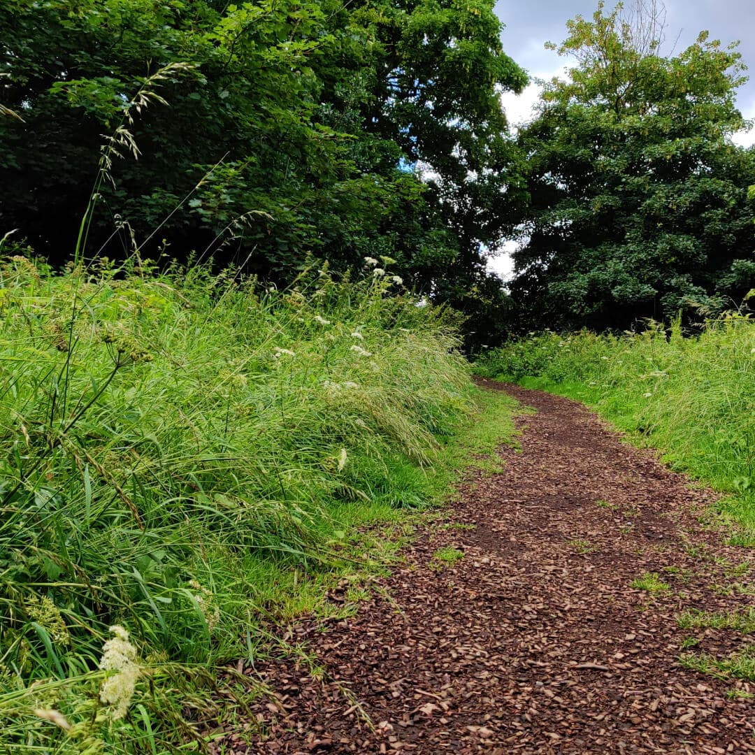 Gotts Park grassy path between trees