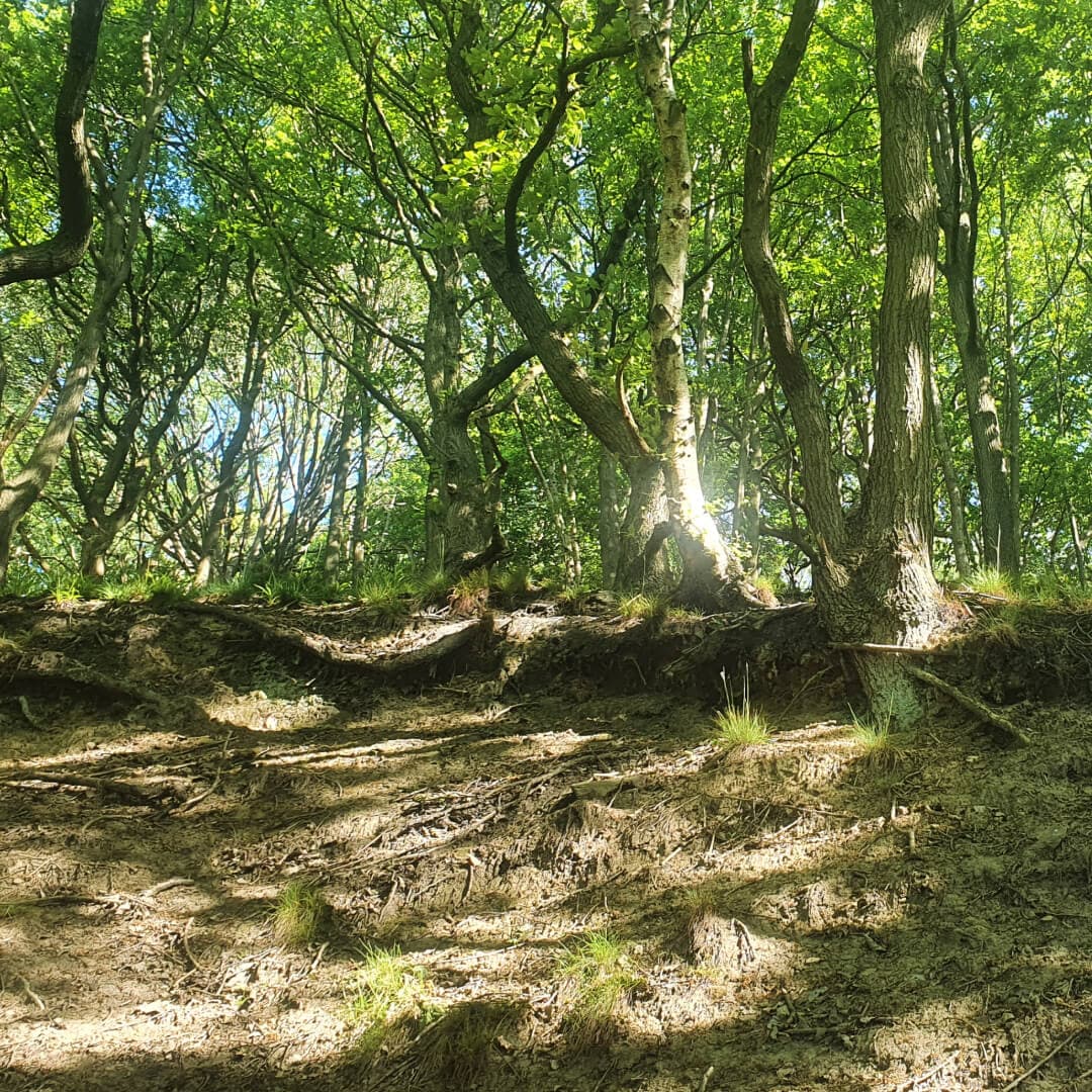 Post Hill Nature Reserve hill