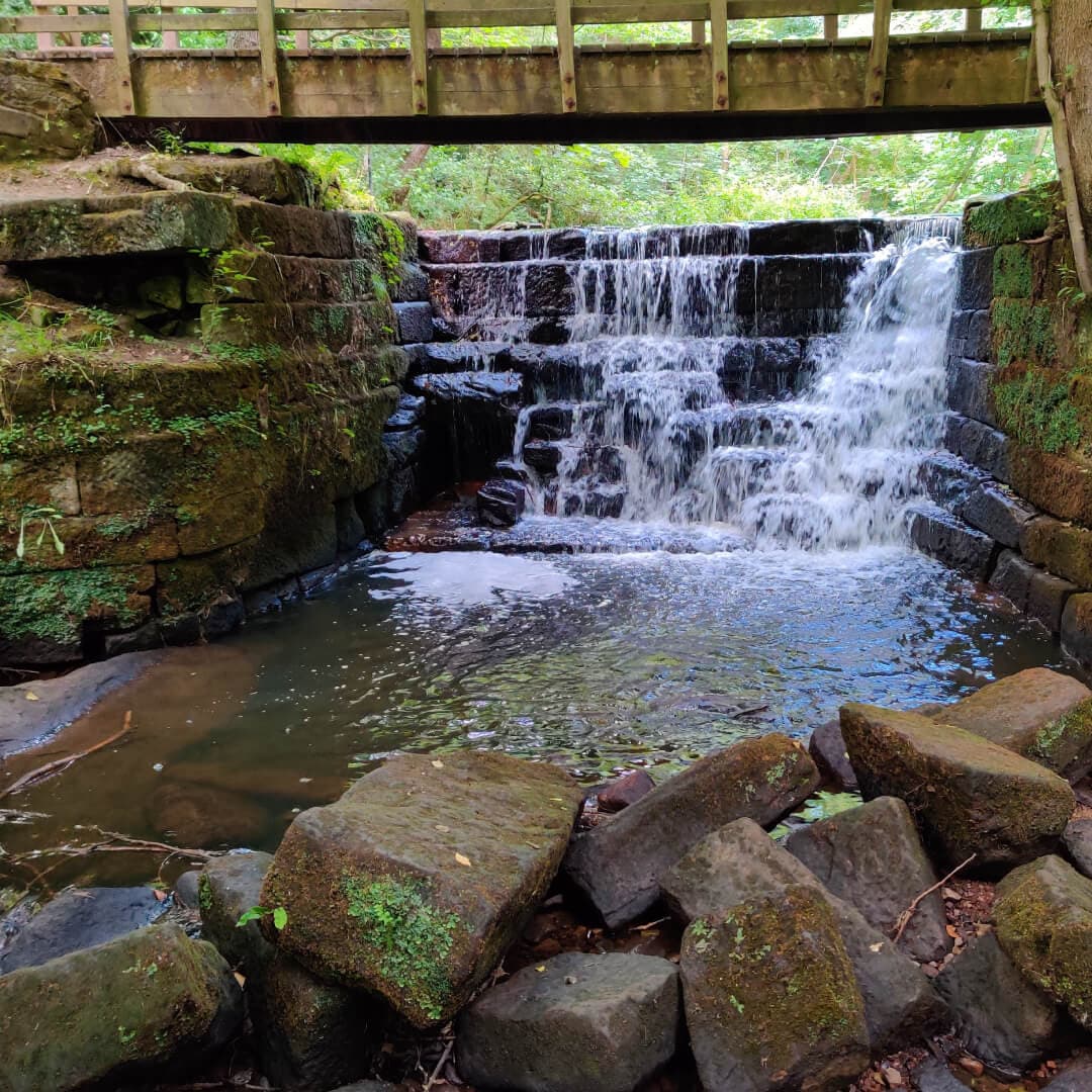 Meanwood Park Meanwood Beck