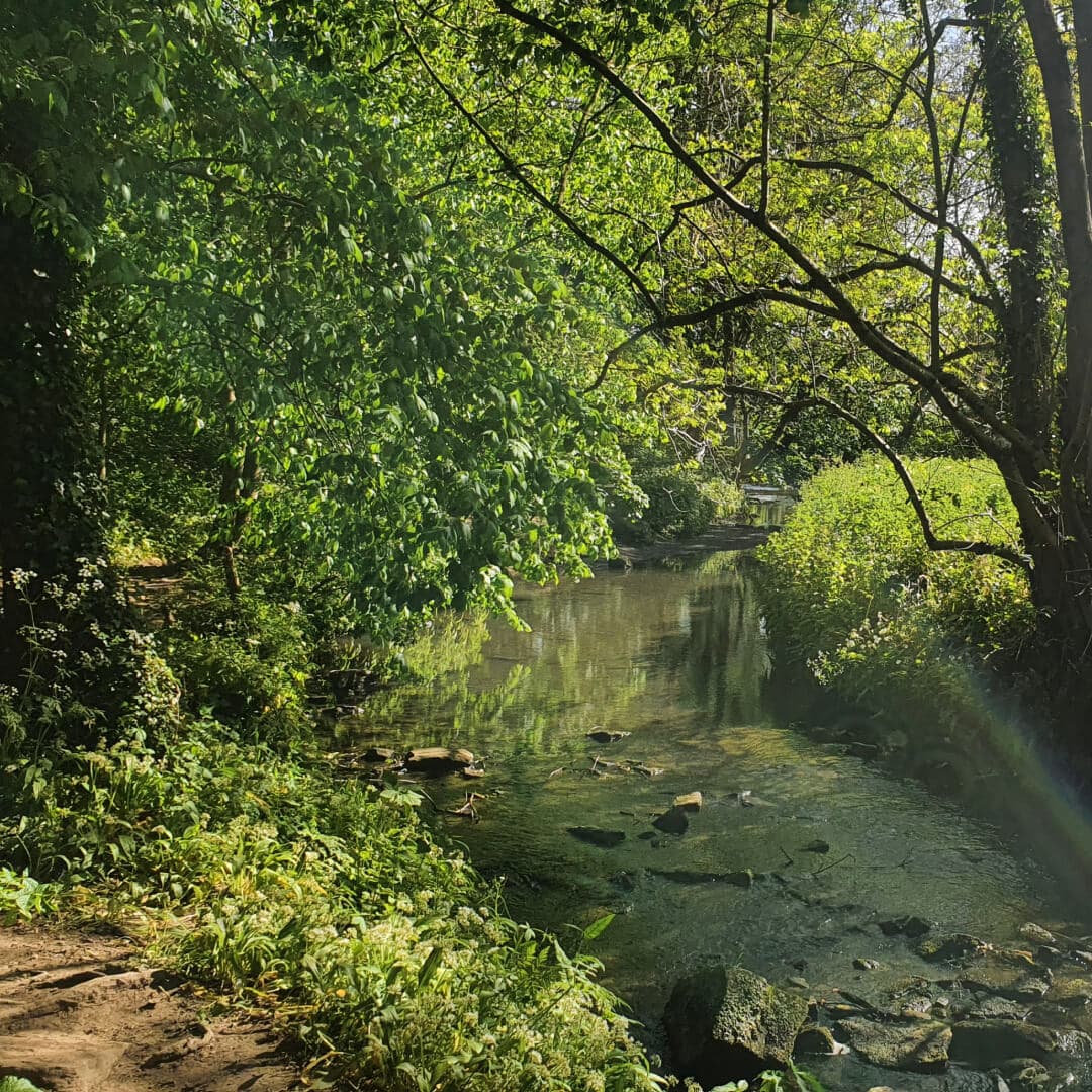 Post Hill Nature Reserve path