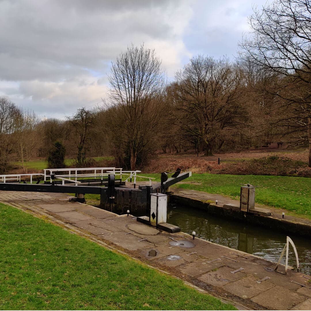 Bramley Fall Woods from the other side of Bramley Lock