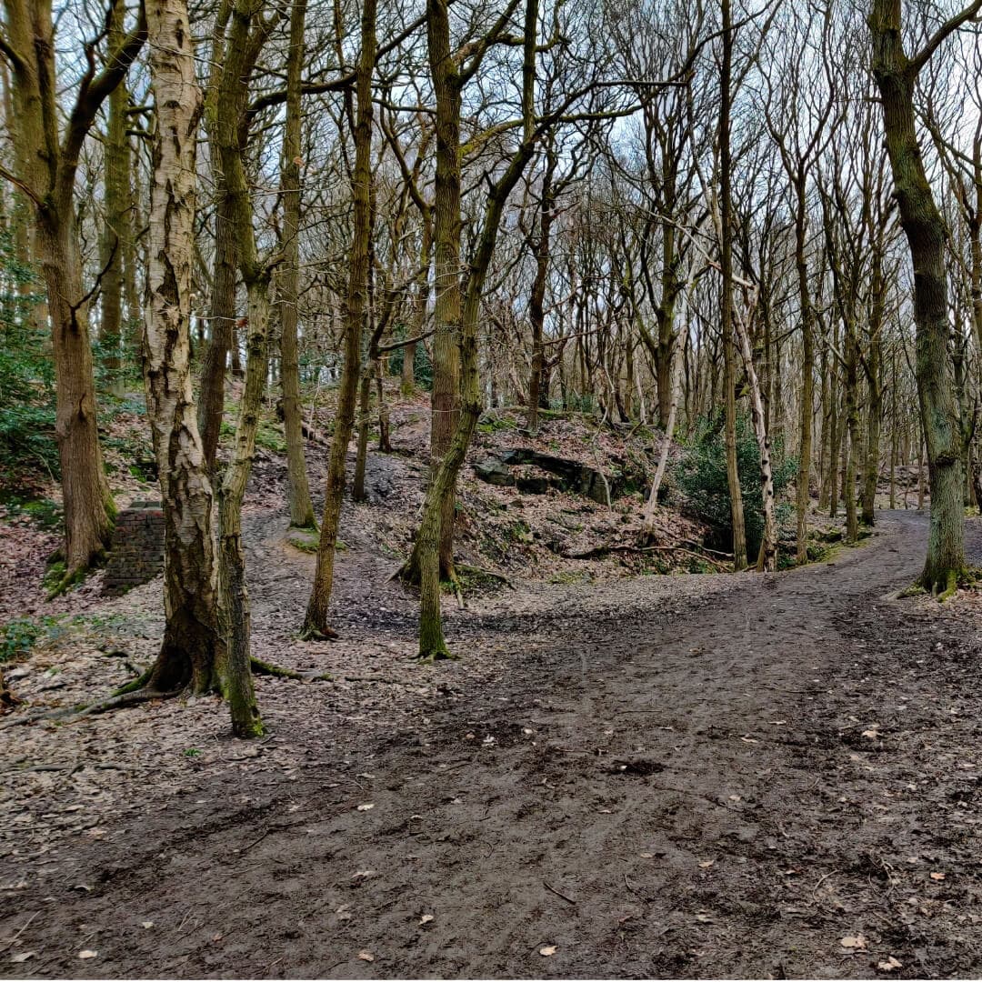 Bramley Fall Woods muddy path