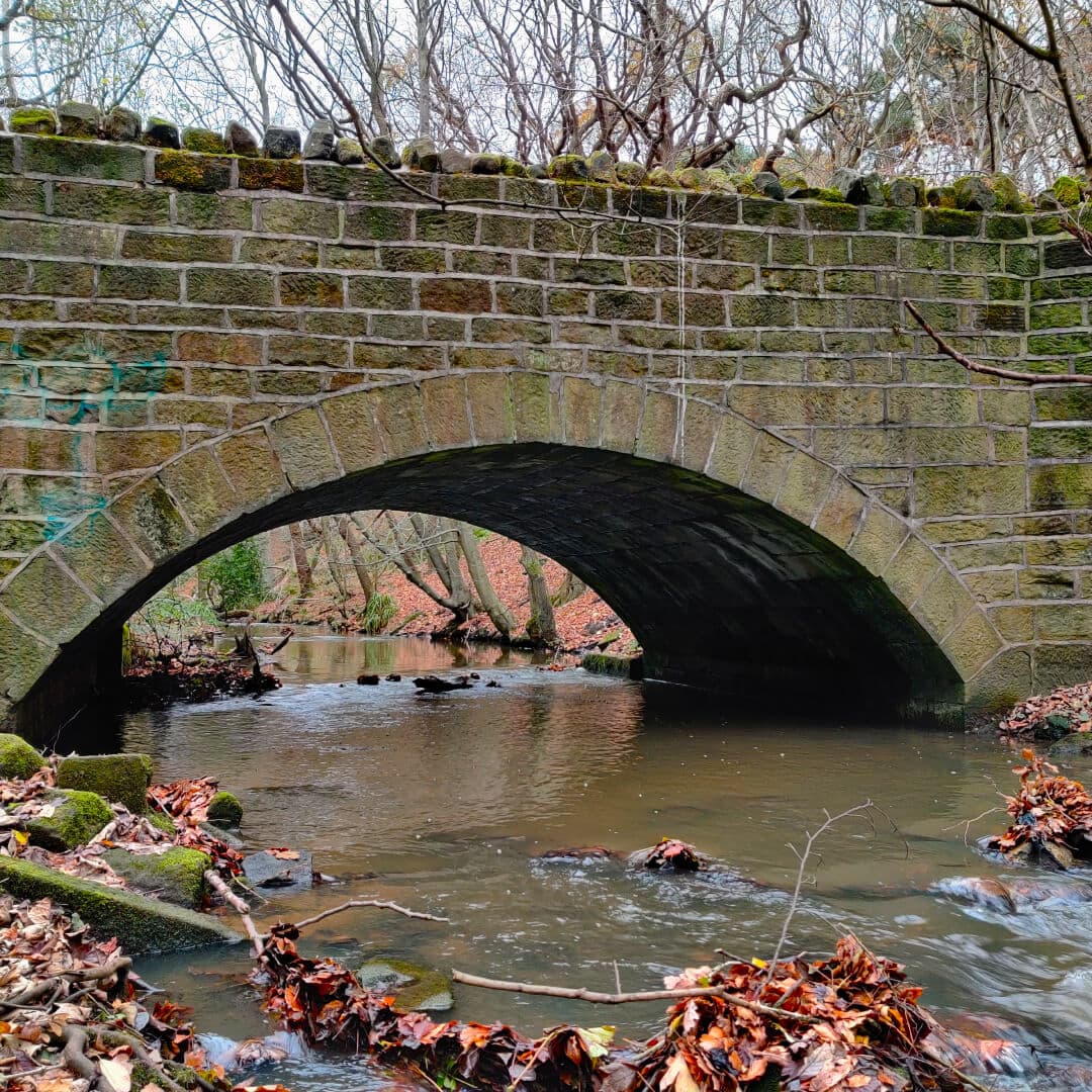 Meanwood Beck under bridge at Scotland Wood