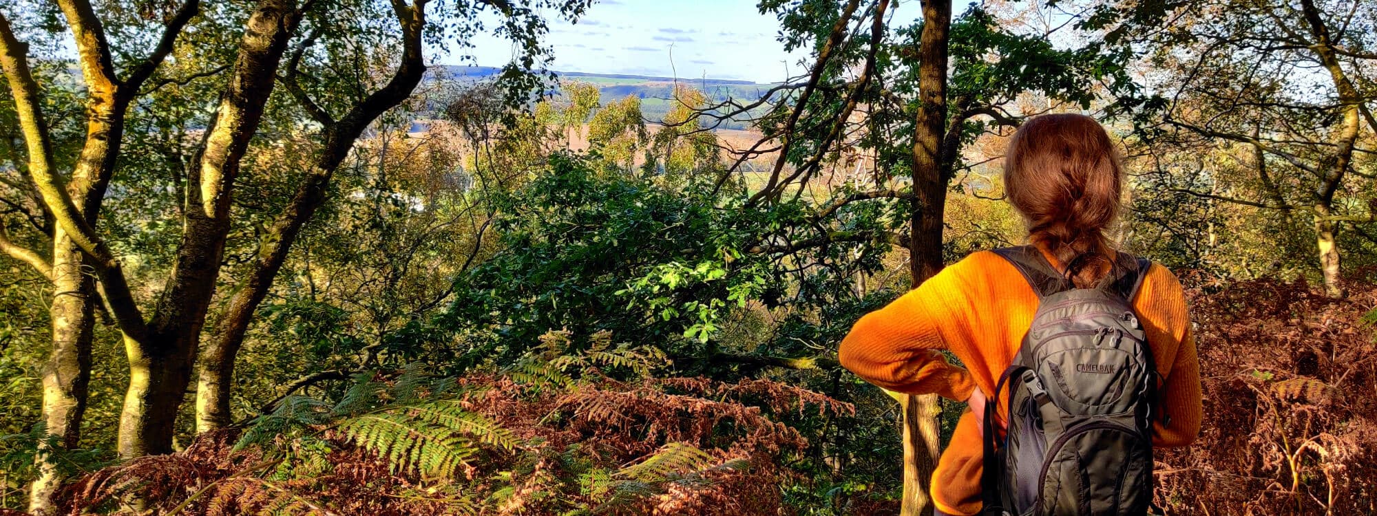 Lady in mustard jumper looking over Otley Chevin from woody hill