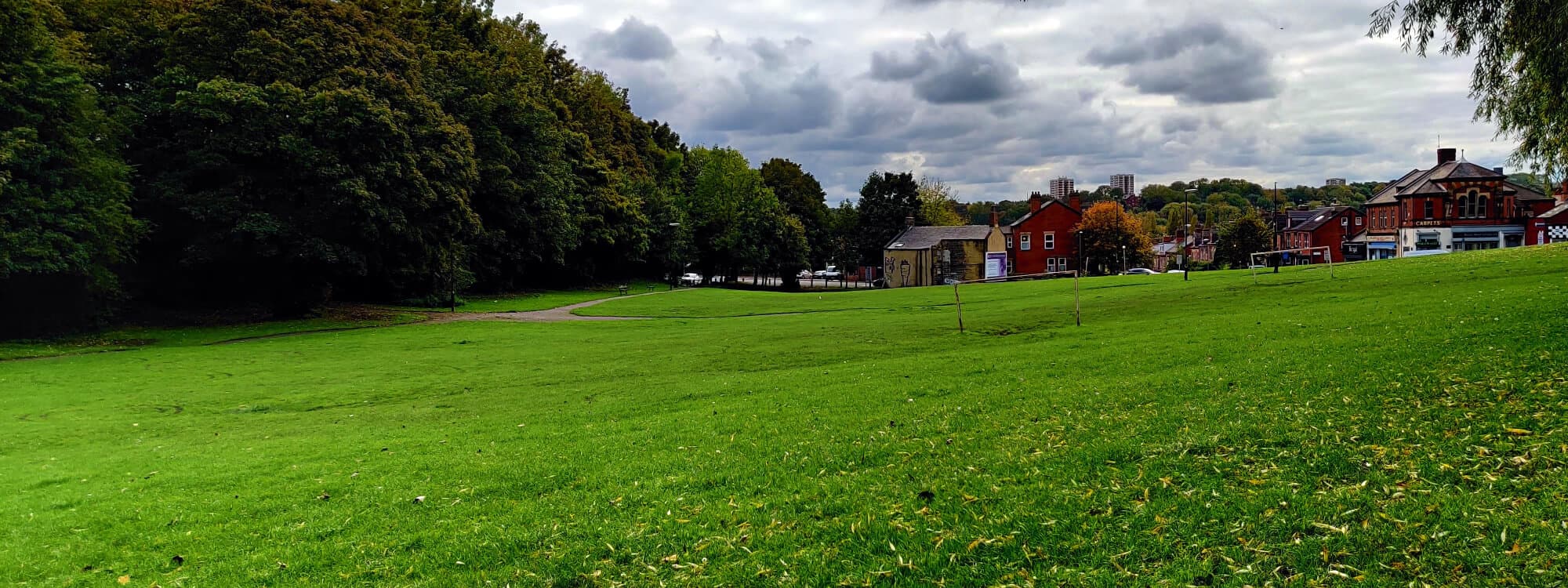 Grassing park at Burley Village Green with houses in the distance.