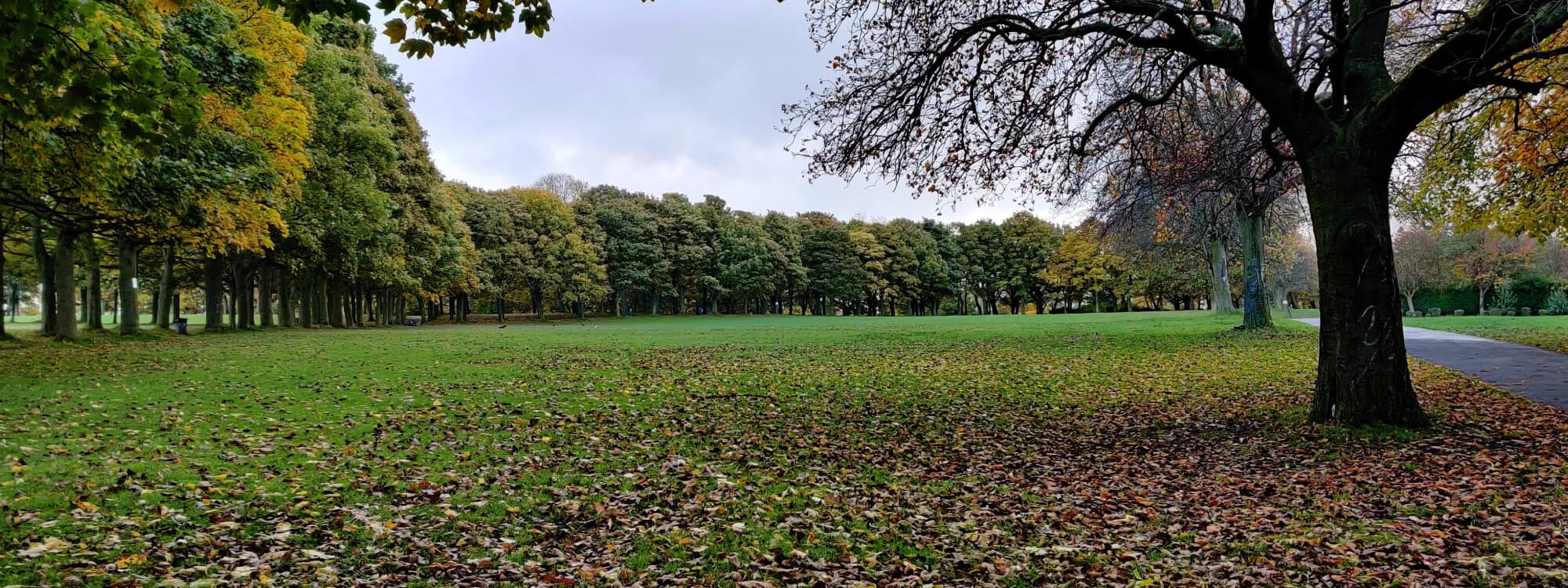One of the fields at WoodHouse Moor just after rain