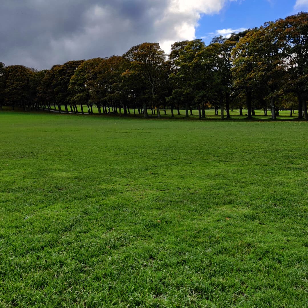 Woodhouse Moor/Hype field
