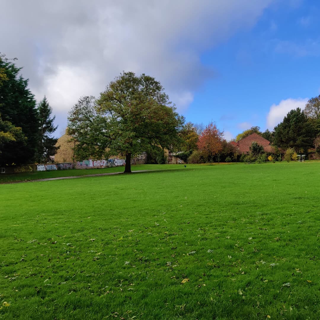 Burley Park at the bottom of the field looking up with a blue sky