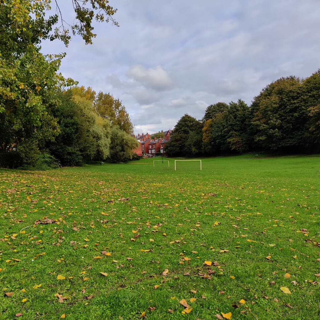 Burley Village Green field