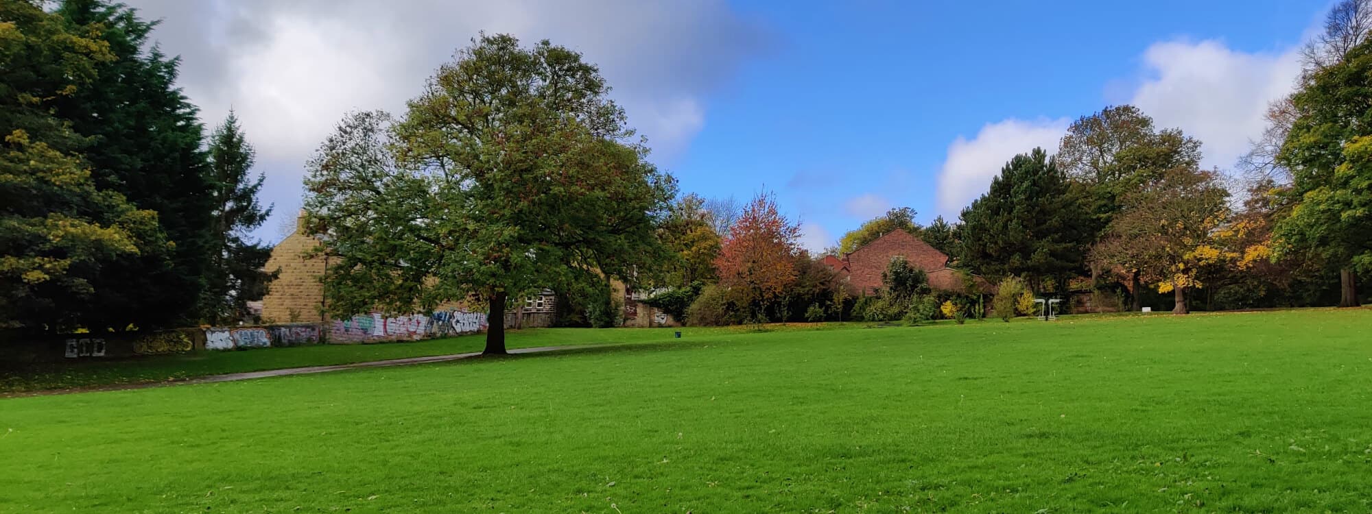 Large green grass field up to a tree on the left at Burley Park.